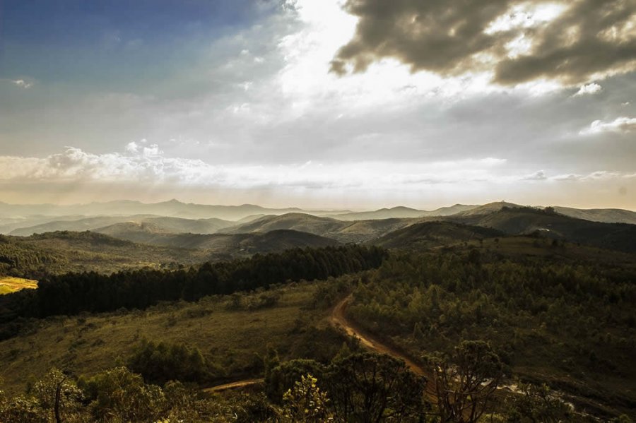 Sunshine in the Hills
